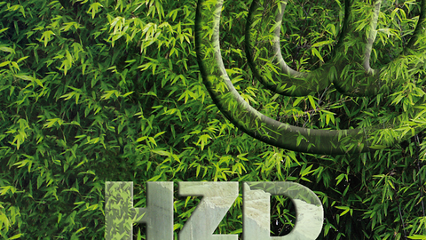 Kollage mit Bambusgrün im Hintergrund und darüber gelegtem HZD-Logo und @-Zeichen